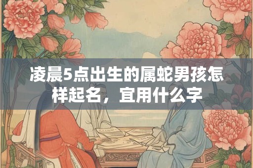 凌晨5点出生的属蛇男孩怎样起名，宜用什么字