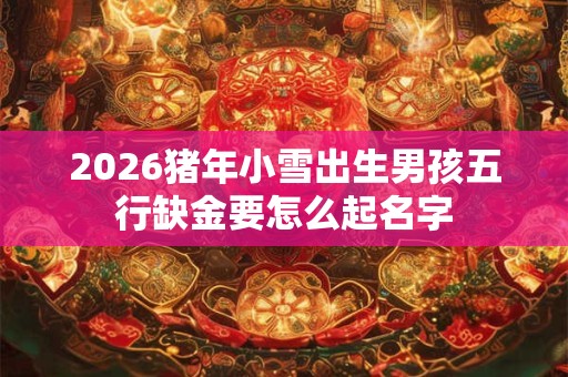 2026猪年小雪出生男孩五行缺金要怎么起名字