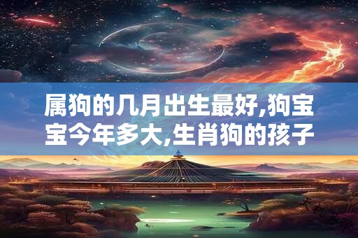 属狗的几月出生最好,狗宝宝今年多大,生肖狗的孩子今年几岁