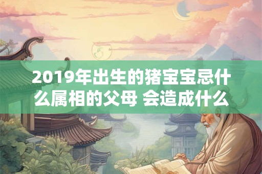 2019年出生的猪宝宝忌什么属相的父母 会造成什么影响