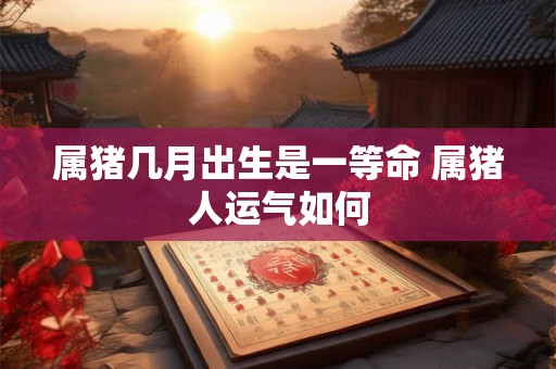 属猪几月出生是一等命 属猪人运气如何