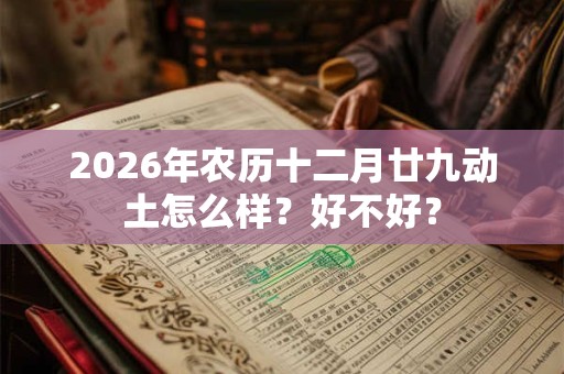 2026年农历十二月廿九动土怎么样？好不好？