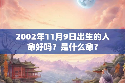 2002年11月9日出生的人命好吗？是什么命？