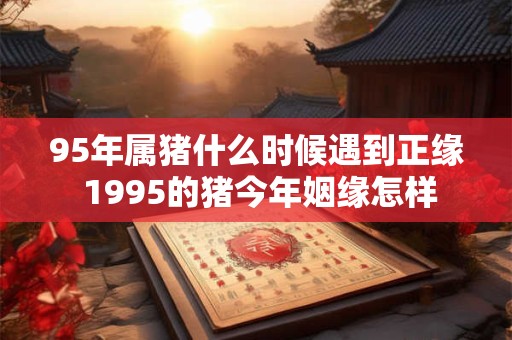 95年属猪什么时候遇到正缘 1995的猪今年姻缘怎样