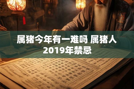 属猪今年有一难吗 属猪人2019年禁忌