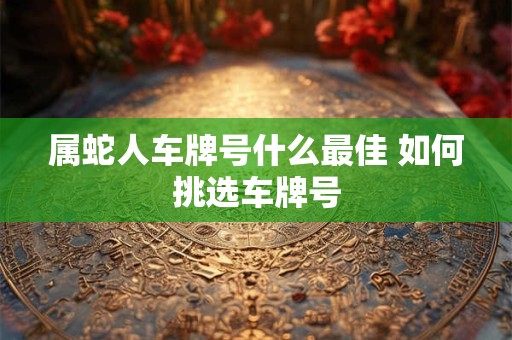 属蛇人车牌号什么最佳 如何挑选车牌号