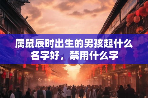 属鼠辰时出生的男孩起什么名字好，禁用什么字