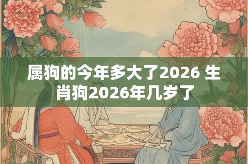 属狗的今年多大了2026 生肖狗2026年几岁了