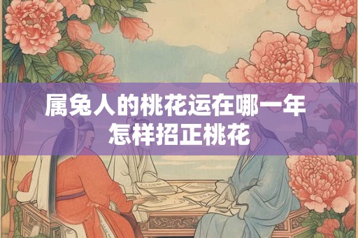 属兔人的桃花运在哪一年 怎样招正桃花