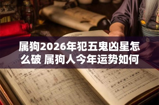 属狗2026年犯五鬼凶星怎么破 属狗人今年运势如何