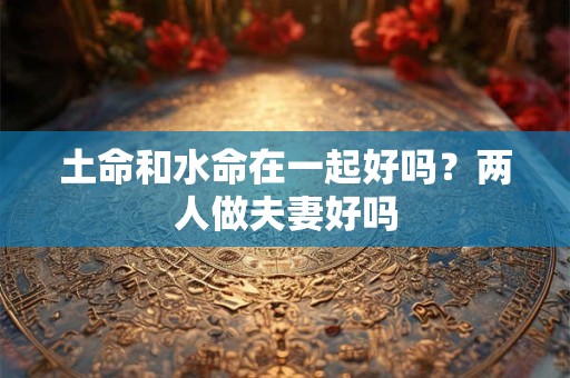 土命和水命在一起好吗？两人做夫妻好吗