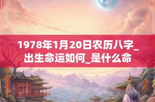 1978年1月20日农历八字_出生命运如何_是什么命