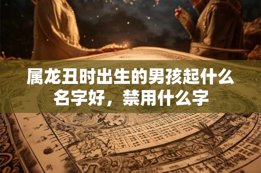 属龙丑时出生的男孩起什么名字好，禁用什么字