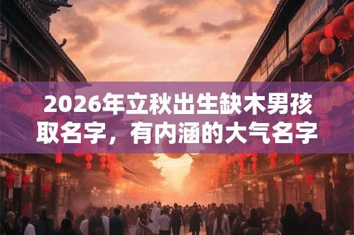2026年立秋出生缺木男孩取名字，有内涵的大气名字