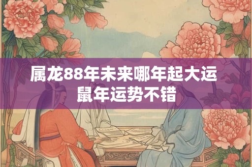 属龙88年未来哪年起大运 鼠年运势不错