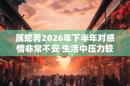 属蛇男2026年下半年对感情非常不安 生活中压力较大