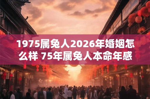 1975属兔人2026年婚姻怎么样 75年属兔人本命年感情运 1975属兔人2026年婚姻怎么样 75年属兔人本命年感情运