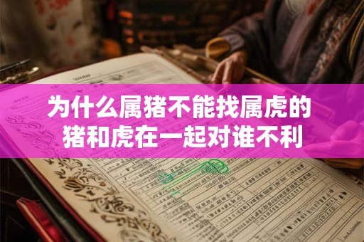 为什么属猪不能找属虎的 猪和虎在一起对谁不利