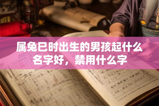 属兔巳时出生的男孩起什么名字好，禁用什么字