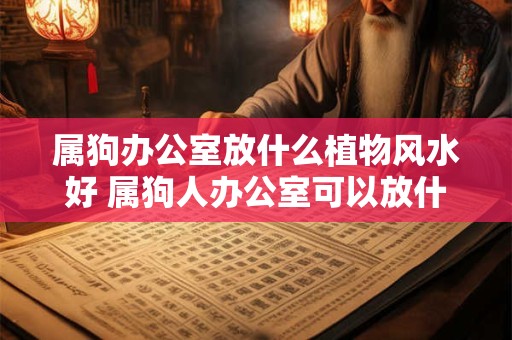 属狗办公室放什么植物风水好 属狗人办公室可以放什么