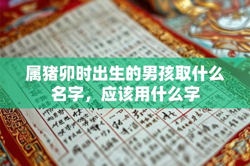 属猪卯时出生的男孩取什么名字,应该用什么字 属猪卯时出生的男孩取什么名字,应该用什么字