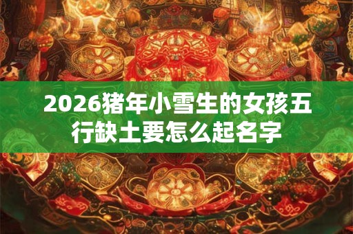 2026猪年小雪生的女孩五行缺土要怎么起名字