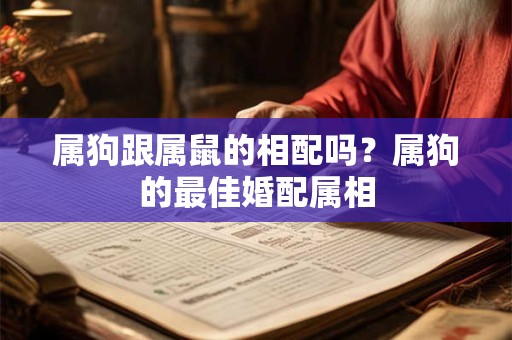 属狗跟属鼠的相配吗？属狗的最佳婚配属相