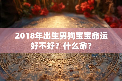 2018年出生男狗宝宝命运好不好?什么命? 2018年出生男狗宝宝命运好不好?什么命?
