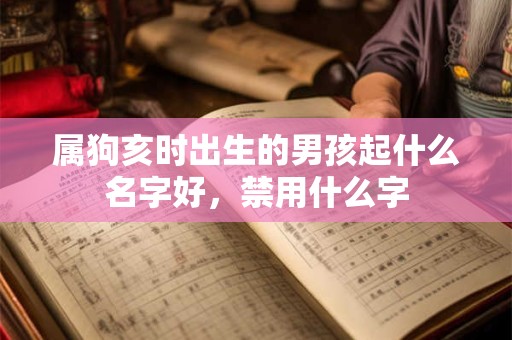 属狗亥时出生的男孩起什么名字好，禁用什么字