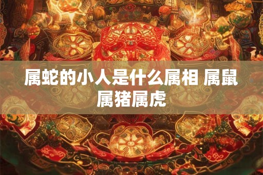 属蛇的小人是什么属相 属鼠属猪属虎