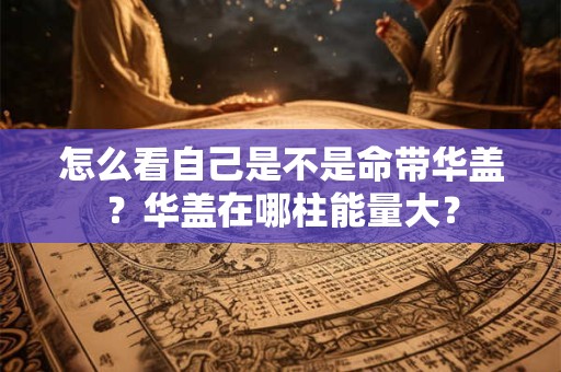 怎么看自己是不是命带华盖?华盖在哪柱能量大? 怎么看自己是不是命带华盖?华盖在哪柱能量大?