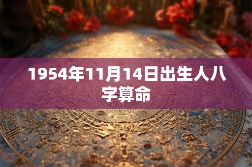 1954年11月14日出生人八字算命