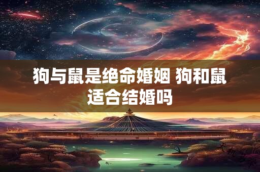 狗与鼠是绝命婚姻 狗和鼠适合结婚吗