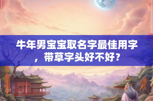 牛年男宝宝取名字最佳用字，带草字头好不好？