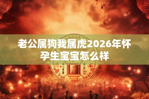 老公属狗我属虎2026年怀孕生宝宝怎么样