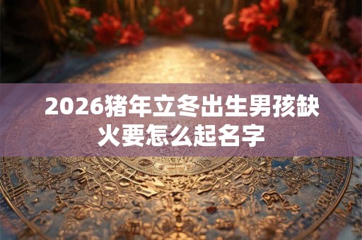 2026猪年立冬出生男孩缺火要怎么起名字
