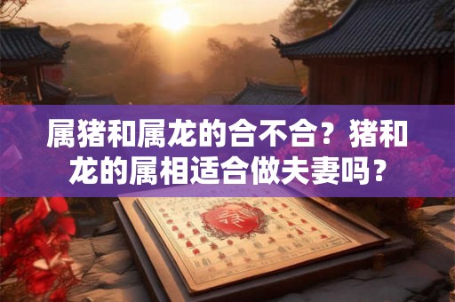 属猪和属龙的合不合？猪和龙的属相适合做夫妻吗？