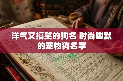 洋气又搞笑的狗名 时尚幽默的宠物狗名字