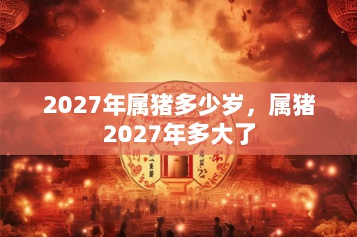 2027年属猪多少岁，属猪2027年多大了