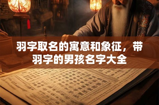 羽字取名的寓意和象征,带羽字的男孩名字大全 羽字取名的寓意和象征,带羽字的男孩名字大全