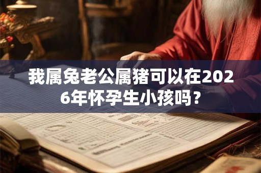 我属兔老公属猪可以在2026年怀孕生小孩吗？