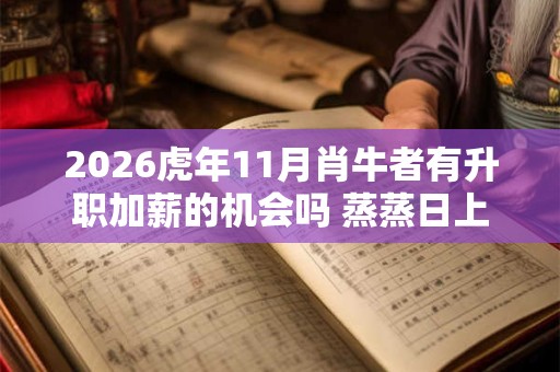 2026虎年11月肖牛者有升职加薪的机会吗 蒸蒸日上保持状态