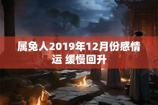 属兔人2019年12月份感情运 缓慢回升