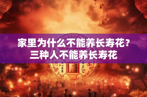 家里为什么不能养长寿花？三种人不能养长寿花