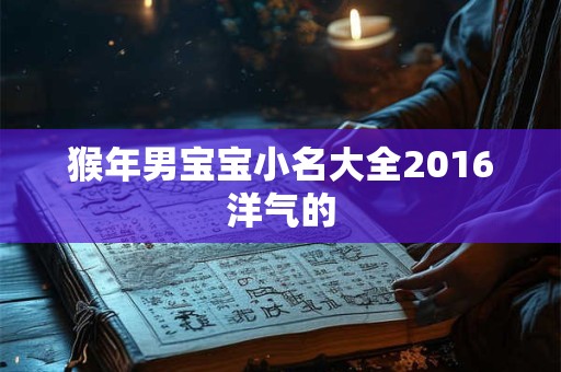 猴年男宝宝小名大全2016洋气的