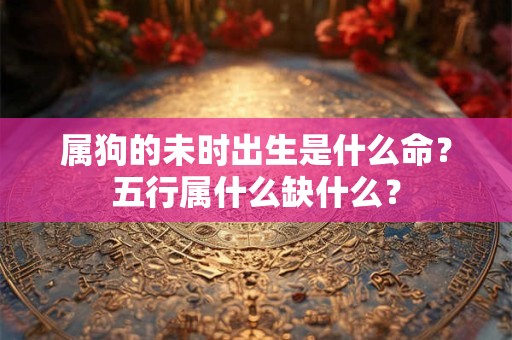 属狗的未时出生是什么命？五行属什么缺什么？