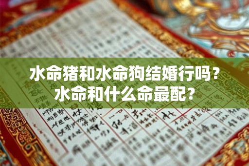 水命猪和水命狗结婚行吗?水命和什么命最配? 水命猪和水命狗结婚行吗?水命和什么命最配?