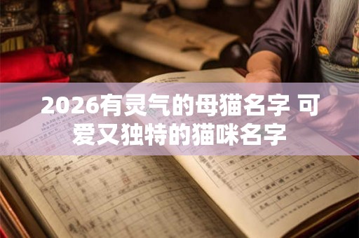 2026有灵气的母猫名字 可爱又独特的猫咪名字
