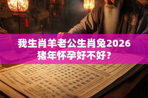 我生肖羊老公生肖兔2026猪年怀孕好不好？