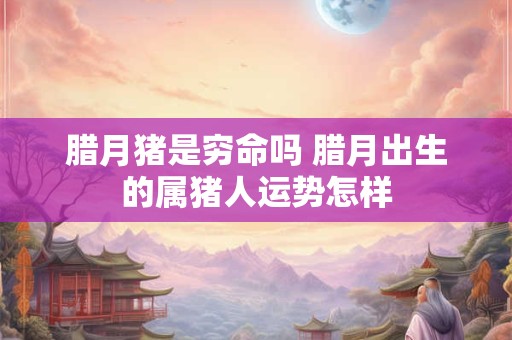 腊月猪是穷命吗 腊月出生的属猪人运势怎样